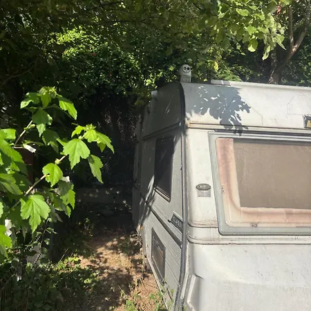 Quiet Caravan *